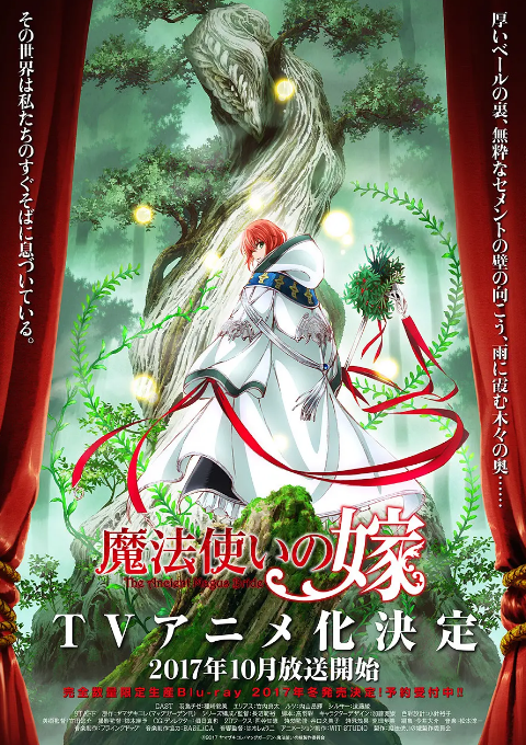 《魔法使的新娘》（2017年）[夸克网盘]