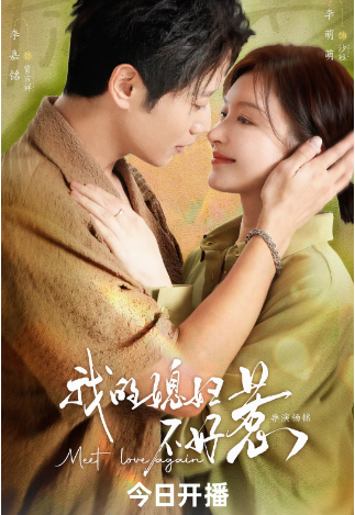 《我的媳妇不好惹》（2025年）[夸克网盘]