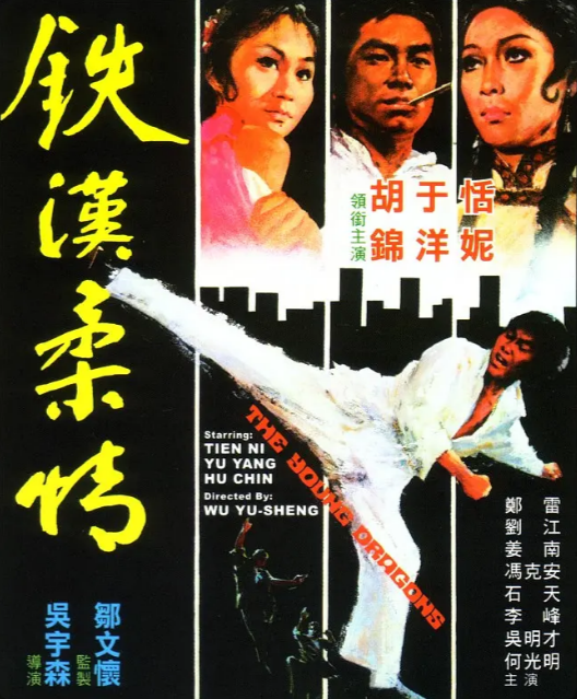 《铁汉柔情》（1975年）[夸克网盘]