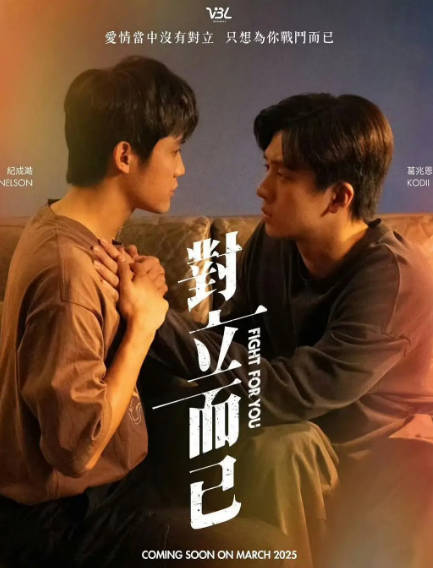 《对立而已》（2025年）[夸克网盘]