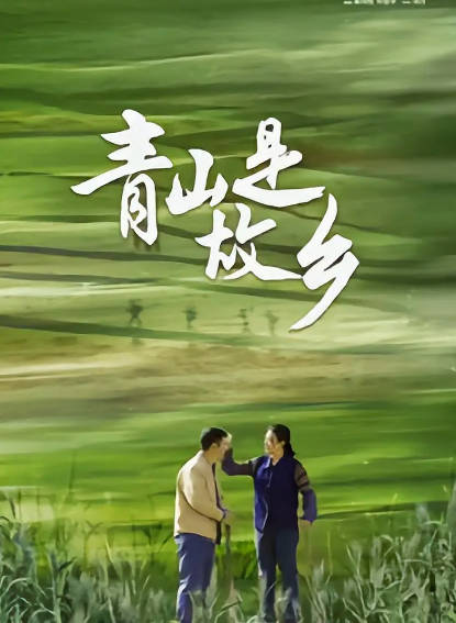 《青山是故乡》（2025年）[夸克网盘]