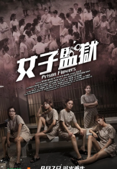 《女囚风暴1995》（2023年）[夸克网盘]