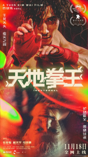 《天地拳王》（2024年）[剧情 / 动作][夸克网盘][无广告]
