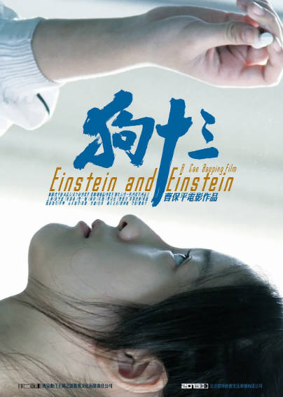 《狗十三》（2013年）[夸克网盘]