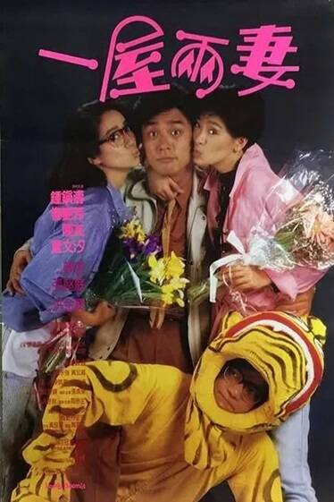 《一屋两妻》（1987年）[夸克网盘]