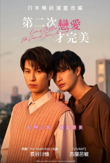 《第二次恋爱才完美》（2024年）[夸克网盘]