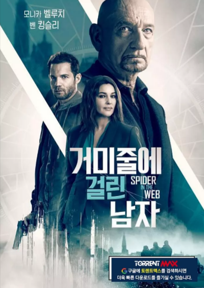《网中蜘蛛》（2019年）[夸克网盘]