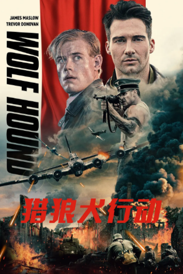 《猎狼犬行动》（2022年）[夸克网盘]