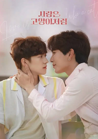 《爱情像猫一样》（2024年）[夸克网盘]