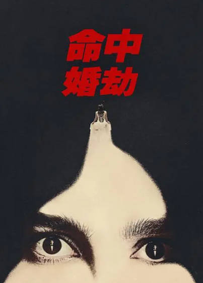 《命中婚劫》（2026年）[夸克网盘]