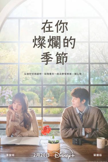 《在你灿烂的季节》（2026年）[夸克网盘]