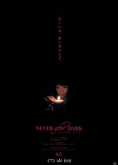 《入夜不再》（2026年）[夸克网盘]
